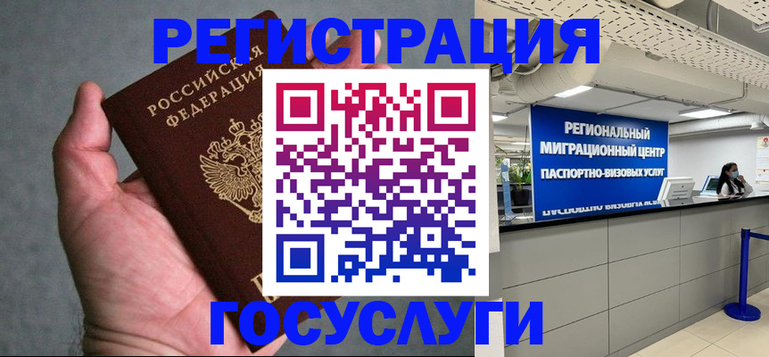 прописка поиск в Новосибирской области